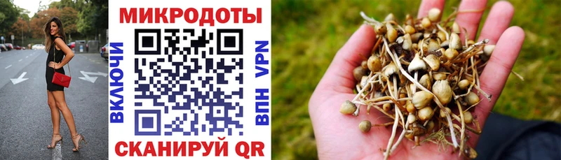 Псилоцибиновые грибы ЛСД  Вязьма 